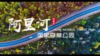 内蒙古大兴安岭阿里河国家森林公园-梵曲配音