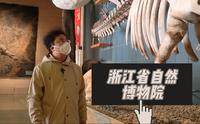 亚洲最大的自然类博物馆——浙江省自然博物院，带我们感受自然的力量