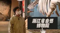 亚洲最大的自然类博物馆——浙江省自然博物院，带我们感受自然的力量