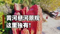 商丘黄河故道国家森林公园