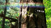 夏季山西沁源灵空山。旅！行！有猴，有山，有苔藓。