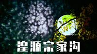 青海湟源宗家沟