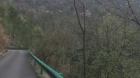 摩旅湖北，崇阳县白崖山看樱花，铜钟乡大岭村到西头村