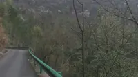摩旅湖北，崇阳县白崖山看樱花，铜钟乡大岭村到西头村