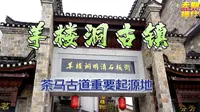 无期途行：湖北赤壁羊楼洞古镇！探寻中国最重要的茶文化源头！