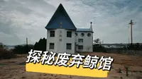 探秘青岛琅琊台废弃鲸馆＋秦代古造船厂