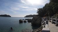 小长山岛的小水口森林公园
