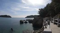 小长山岛的小水口森林公园