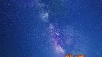盐城野鹿荡观星秘境