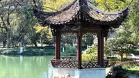 杭州西湖～曲院风荷.湛碧楼