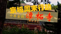 【4K】京西 潭柘寺 | 深度带玩及攻略【京城周末行动】