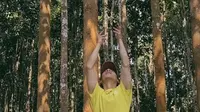 西双版纳中科院植物园寻找龙脑香科种子