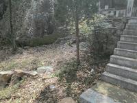 米芾所书《乐圃先生墓表》原碑现藏于苏州文庙（苏州碑刻博物馆），本人多次去文庙未见原碑，并多次询问工作人员，亦不清楚此碑。如有知道的朋友请提供下消息，感谢。