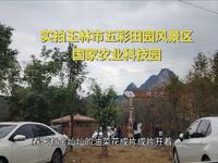 实拍玉林市五彩田园风景区国家农业科技园