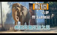 解锁合肥野生动物园。这次的展区更炸裂，简直就是纯欲风，哦不对是纯狱风