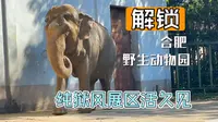 解锁合肥野生动物园。这次的展区更炸裂，简直就是纯欲风，哦不对是纯狱风