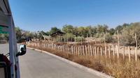 进入新疆昌吉市老龙河的胡杨林景区