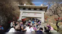 我的2023相册（山东）泰山｛牌坊｝龙门