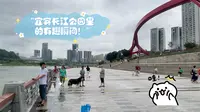 宜宾长江公园里的有趣瞬间！