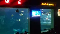 北京太平洋海底世界人鱼表演