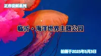 临沂旅游必去海洋世界主题公园