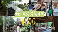 西双版纳vlog ｜两个p人无攻略五天四晚旅行日记（超随机刷新任务 无踩雷 时长感人