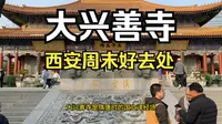 密宗祖庭大兴善寺，在西安小寨商圈闹中取静，可赏冬日限定腊梅、逗猫喂鸽子