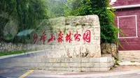 京城随拍：妙峰山森林公园游记实录