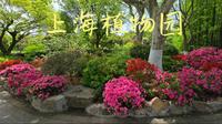 Sophie's Garden 上海植物园绝对称得上是国内顶级植物园，无一处不精致