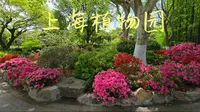 Sophie's Garden 上海植物园绝对称得上是国内顶级植物园，无一处不精致