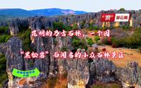 昆明乃古石林，一个以古老、黑色的黑松岩而闻名的小众石林景区。