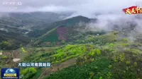 央视《新闻联播》播出大美中国之河南西九华山