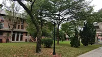 中山大学康乐园•乙丑进士牌坊