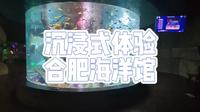 《沉浸式体验合肥海洋馆》