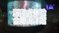 《沉浸式体验合肥海洋馆》