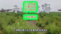 （千垛景区）②江苏省Ⓜ泰州市⑷兴化市游玩景点分享