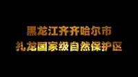 黑龙江齐齐哈尔市《扎龙国家级自然保护区》