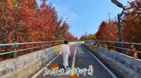 红塔山下君需至，最是橙黄橘绿时！ #遂川红塔生态骑行园 #周末去哪玩 #遂川拍照打卡好去处 #乐游遂川