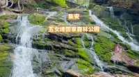 吉林 集安 五女峰国家森林公园 绿野仙踪 如入仙境