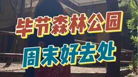 毕节森林公园||周末假期好去处
