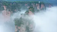感受中国顶级景区的压迫感，武陵源的云海真的太美了#张家界国家森林公园#来武陵源看张家界#行走张家界#张家界#云海