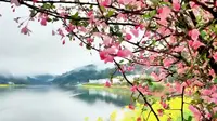 黄山新安江山水画廊