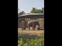 广州动物园春季研学