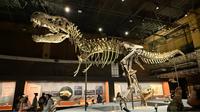 国家自然博物馆《霸王龙T-REX——恐龙之王特展》