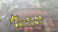 【云游动物园】常熟虞山动物园都有哪些动物
