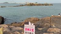 沉浸式云游福鼎网红渔井村。