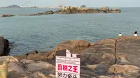 沉浸式云游福鼎网红渔井村。