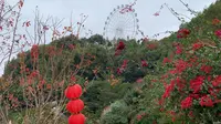 信宜市莲花湖庄园半天游！广东最山的小城市仅有的乐园！