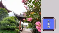 宁波九龙湖景区