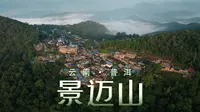 来到了云南的“冷门”景点，但我超喜欢！【云南·普洱·景迈山】